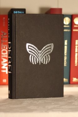 A black hardcover book with the outline of a silver butterfly.